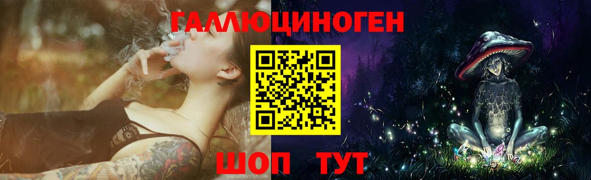 Псилоцибиновые грибы Psilocybine cubensis  Вход с VPN  Кунгур  Галлюциногенные грибы прущие грибы 